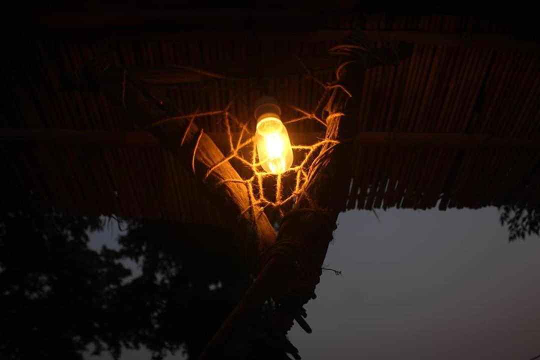 Happy Lemon Tree Lodge Sauraha Exteriör bild