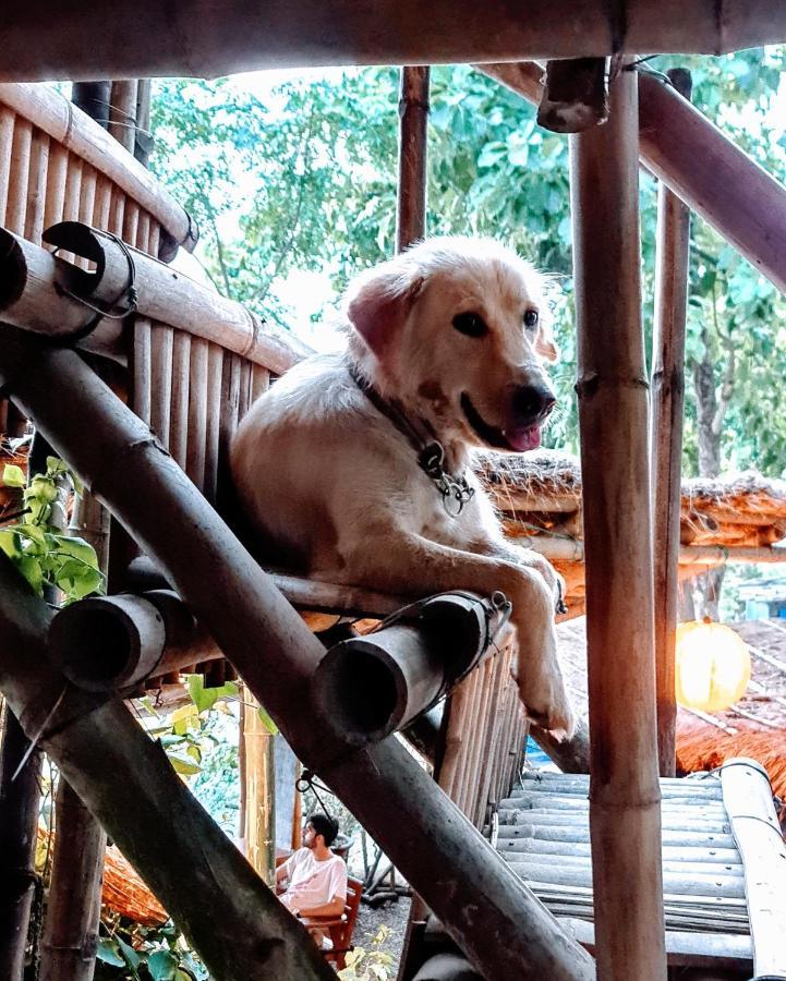 Happy Lemon Tree Lodge Sauraha Exteriör bild